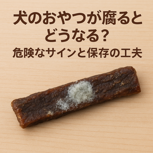 犬のおやつが腐るとどうなる?危険なサインと保存の工夫🐾
