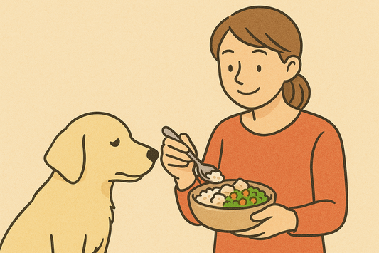 犬の膵炎と食事管理|絶対に避けたい食材とおすすめのごはん