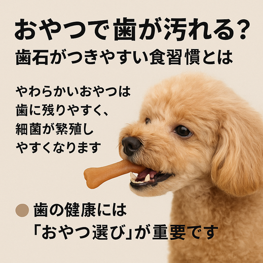おやつで歯が汚れる?歯石がつきやすい食習慣とは