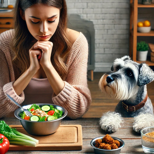 犬が膵炎になる原因はこれ!飼い主が気をつけたいポイント