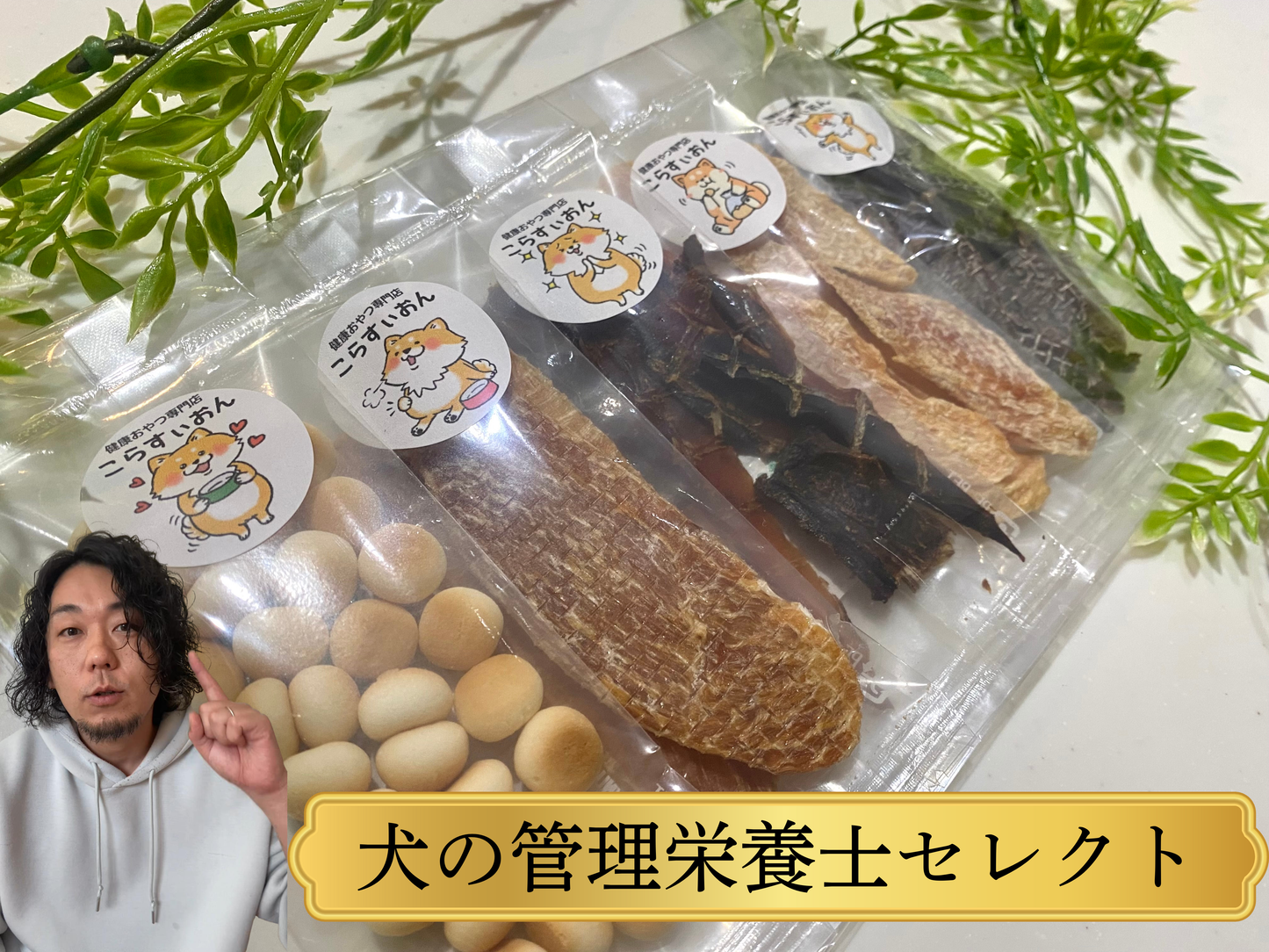 店主のきまぐれセレクト バラエティパック おまかせ5種セット