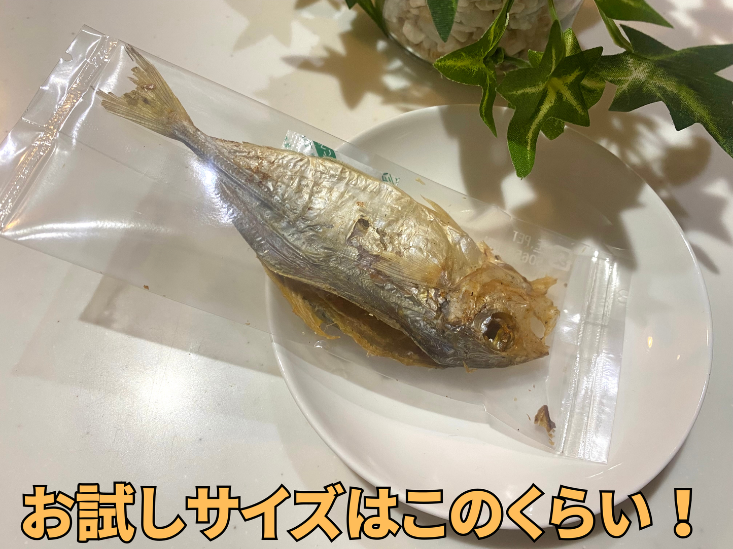 高知県産 鯵の開きジャーキー|大根おろしに醤油かけたくなる見た目(ワンコ用)