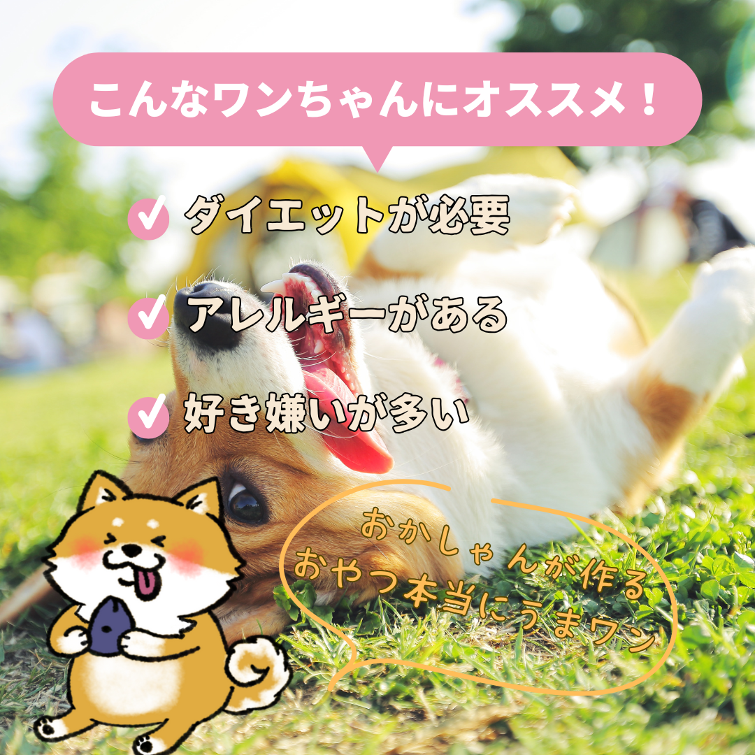 猟師さんから仕入れた新鮮鹿肉ジャーキ― 素材100%でもも肉使用【脂身徹底除去】