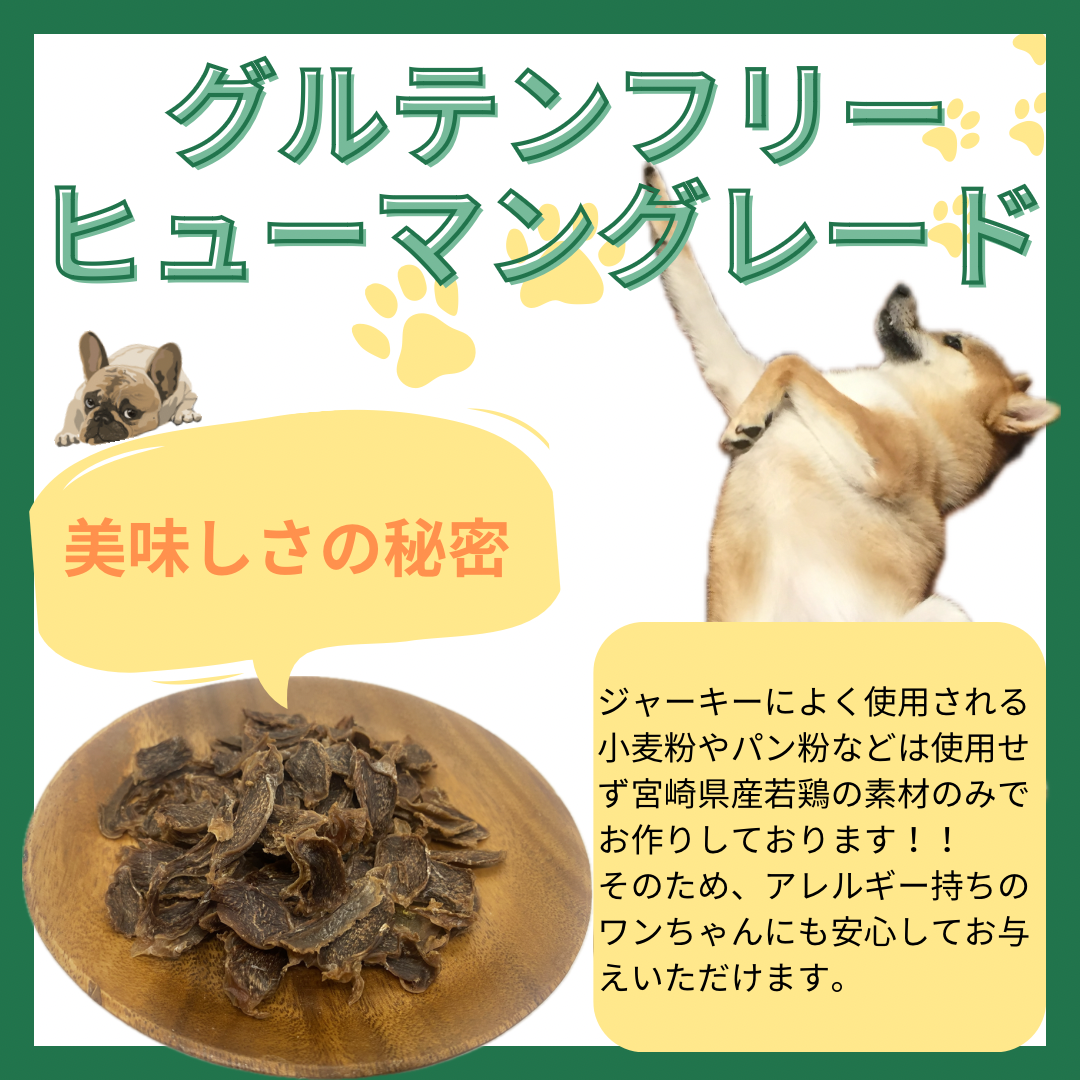 【当店イチオシ】宮崎県産若鶏ジャーキー3パックセット 50g×3でお得