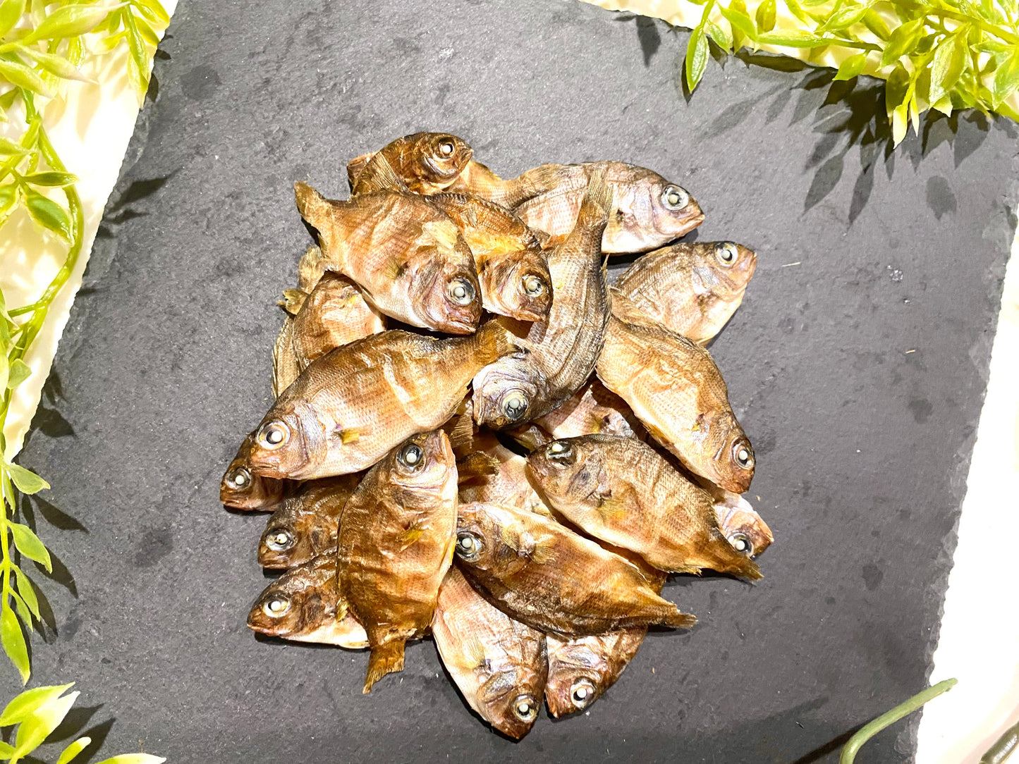 まるごと真鯛~贅沢煮干し~