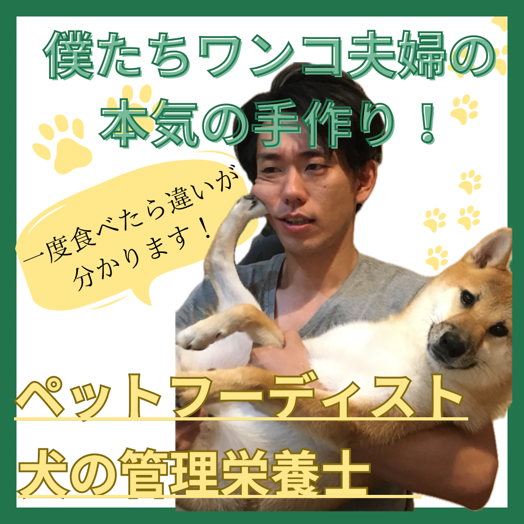 宮崎県産若鶏ささみじゃーきー【国産・無添加・手作り】