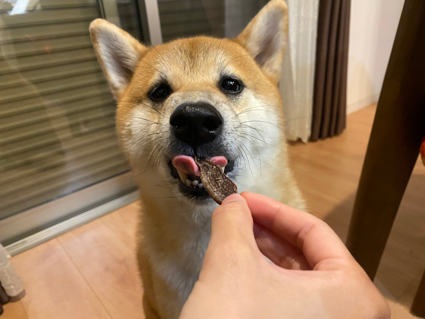 宮崎県産若鶏砂肝じゃーきー【国産・無添加・手作り】