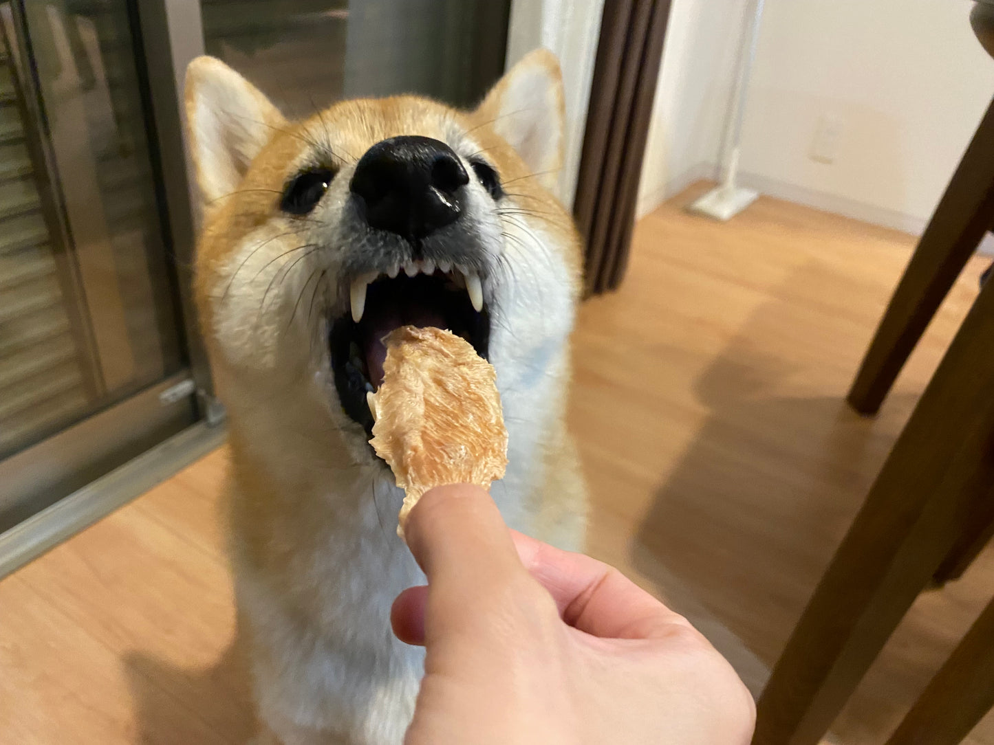 【当店イチオシ】九州産若鶏ジャーキー3パックセット 50g×3でお得