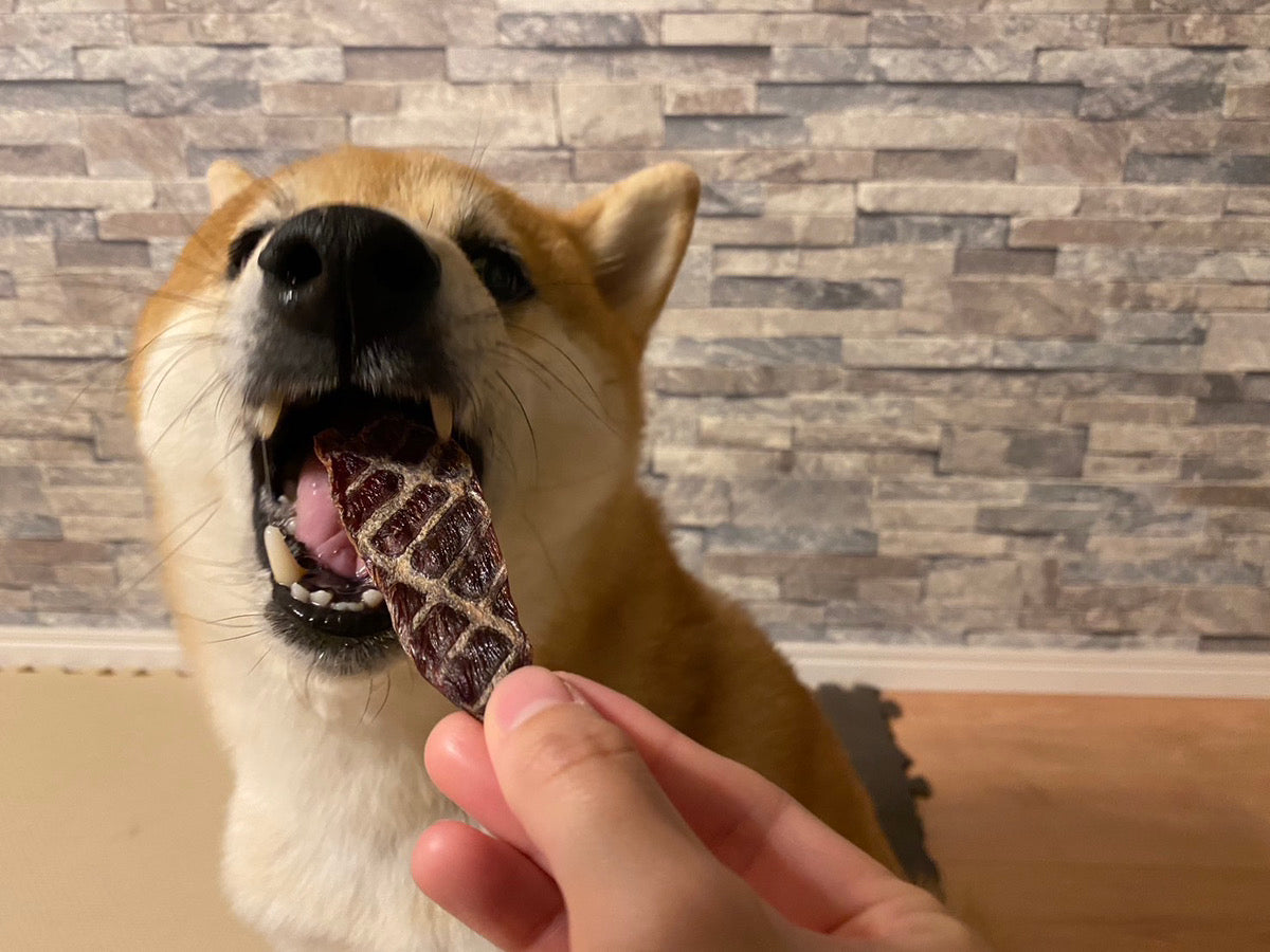 猟師さんから仕入れた新鮮鹿肉ジャーキ― 素材100%でもも肉使用【脂身徹底除去】
