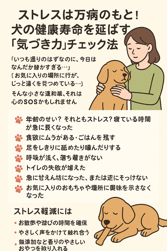 🐾ストレスは万病のもと！犬の健康寿命を延ばす「気づき力」チェック法