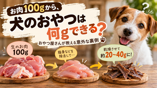 お肉100gから、犬のおやつは何gできる？おやつ屋さんが教える意外な裏側🐶