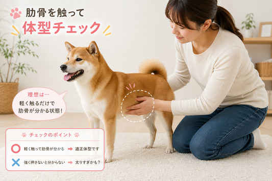 ワンコの適正体重って？太りすぎの判断方法🐶