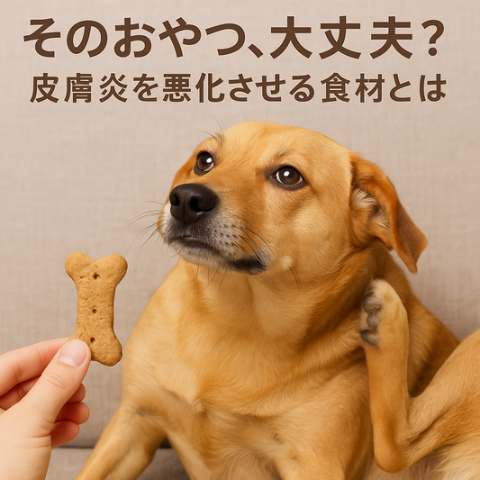 そのおやつ、大丈夫？皮膚炎を悪化させる食材とは