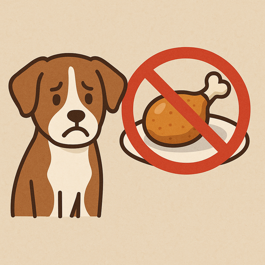 「鶏がNGの犬にぴったり！脱チキンおやつ3選」