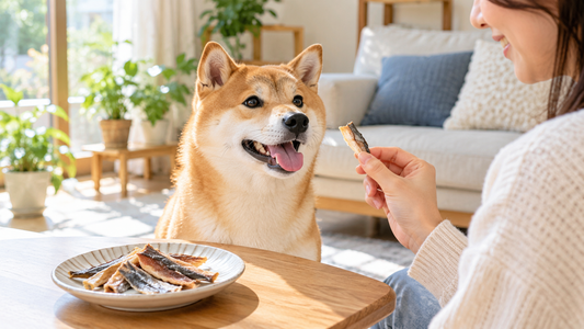 DHA・EPAってどういいの？犬の健康を支える魚の栄養のお話🐟