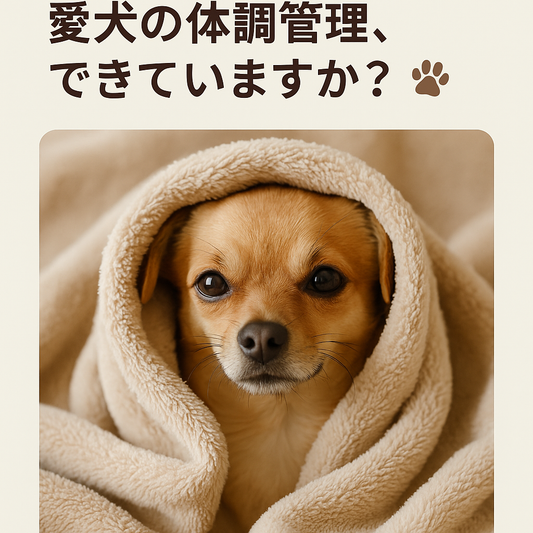 【急な冷え込みにご用心！愛犬の体調管理、できていますか？🐾】