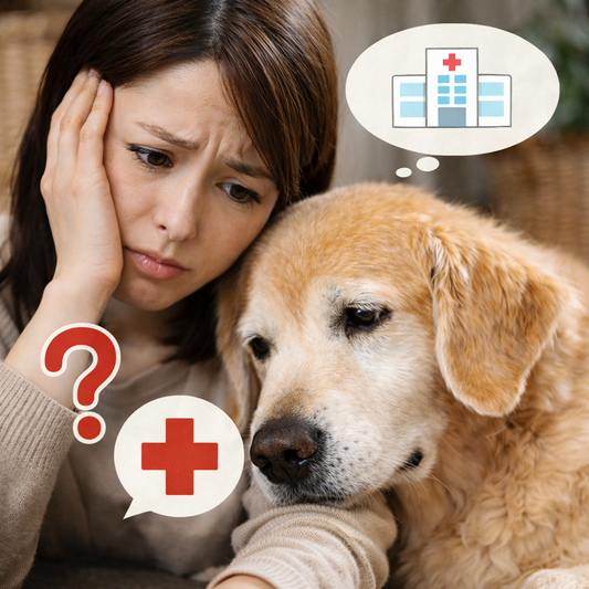 下痢＝すぐ病院？様子見？判断の目安 🐶💩💭