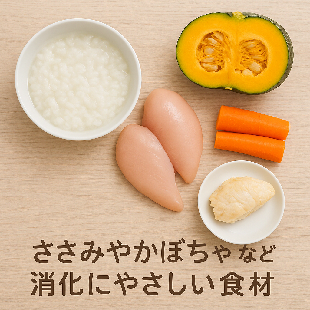 お腹の調子が悪い時（下痢）はごはんをなしにする？🐶
