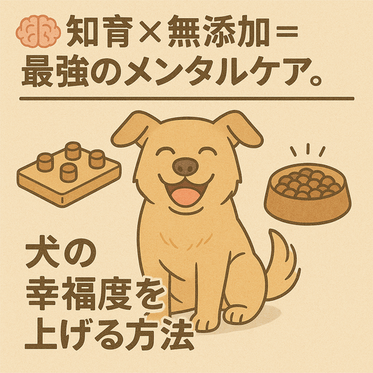 🧠知育×無添加＝最強のメンタルケア。犬の幸福度を上げる方法