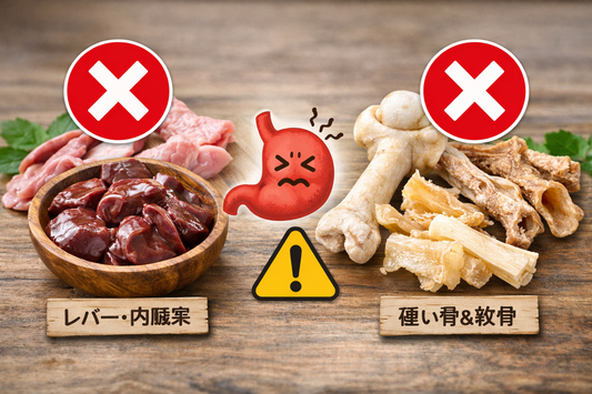 素材別の消化スピード＆胃腸負担