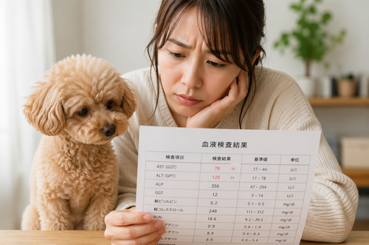 肝臓が悪くなる（数値が高い）理由