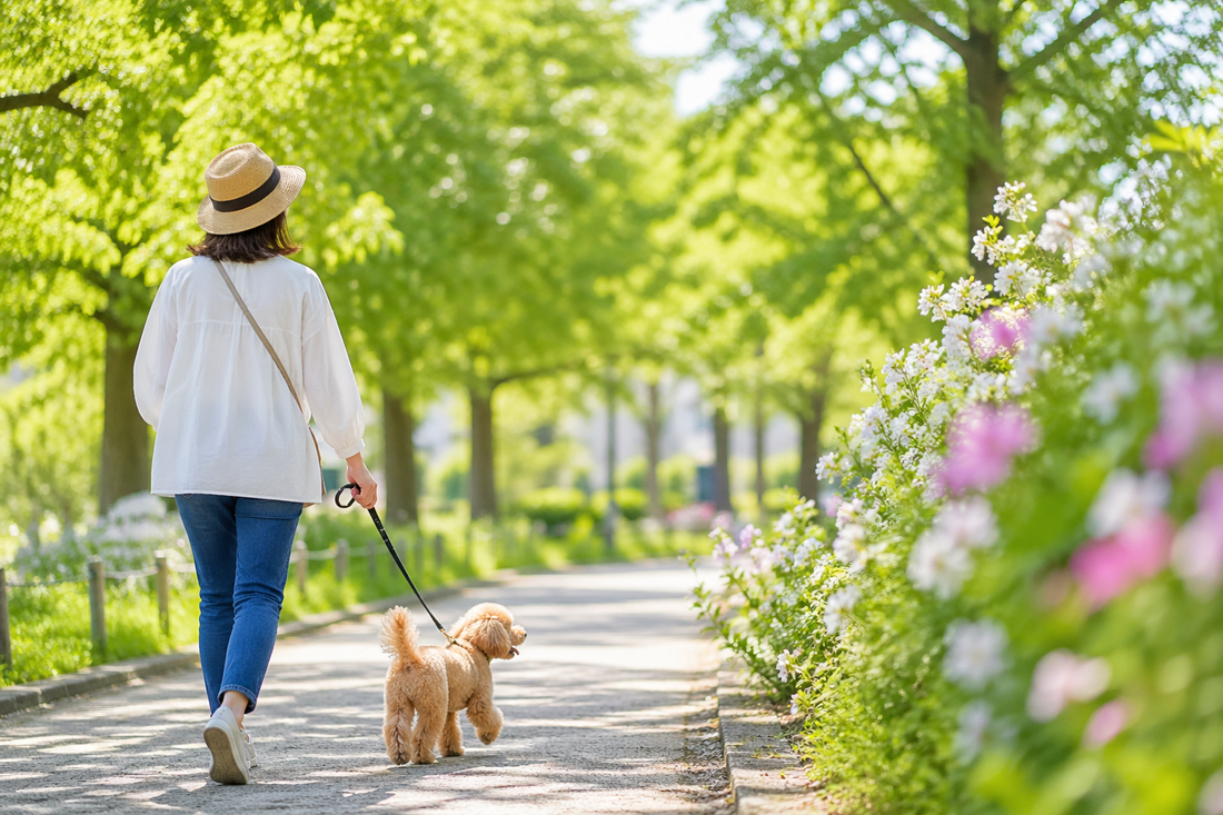 初夏に向けて整えたい。5月の体調管理とおやつの選び方🐶🌿