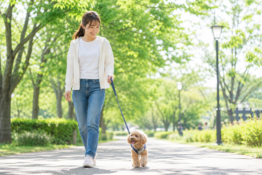 愛犬の寿命を左右する、意外なポイント