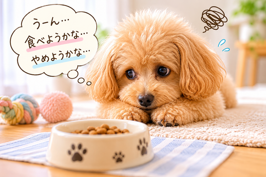 最近ごはんをあまり食べなくなった気がする…