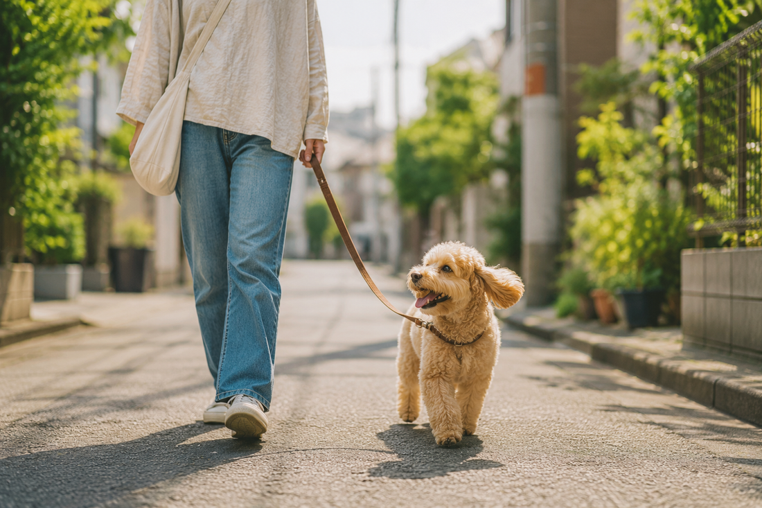 お散歩中に明らかにワンコを嫌がる人に遭遇した時