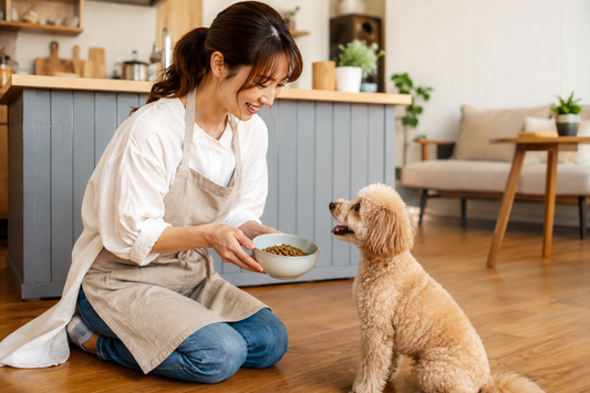 ワンコにとっての栄養を分かりやすく解説🐶🍖