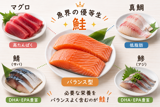鮭の栄養効果がスゴイ🐟