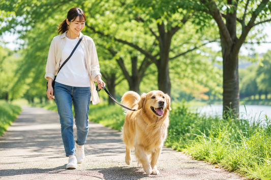 犬の健康は腸から始まる？