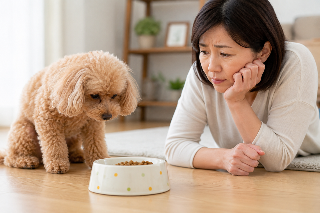 フード・おやつを全然食べなくなった時の対策🐶