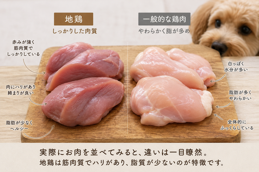 ～僕が地鶏を選ぶ理由～🐓