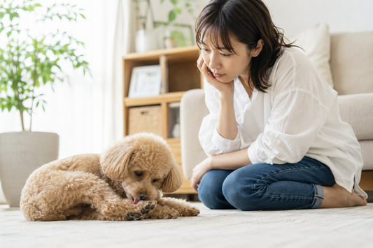 人とワンちゃんでアレルギーって違う？🐶🤧