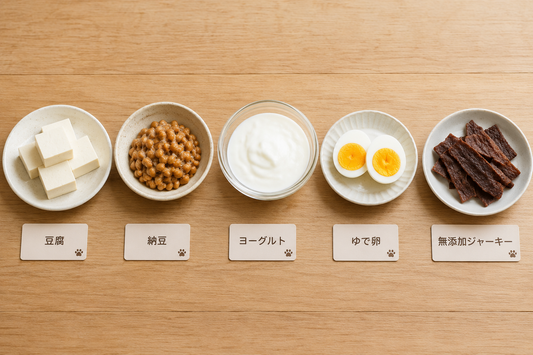 忙しい日でも大丈夫！手間なしで愛犬に与えられるおすすめ食材ランキング
