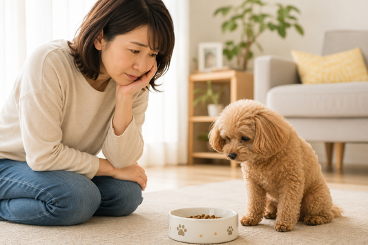 食べムラがある時どうする？愛犬がごはんを食べない原因と今日からできる対策を解説🐶