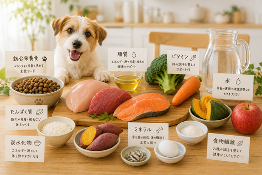 犬に必須な栄養素について🐶🍚
