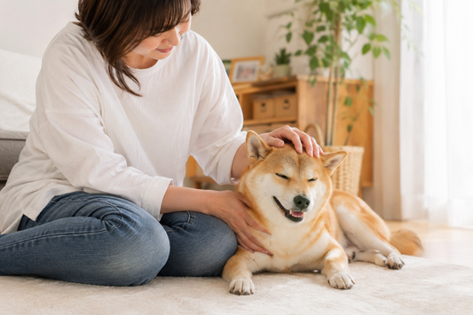 🐶 ワンコと触れ合うことの効果｜撫でる時間が、人にも犬にも与えてくれるもの