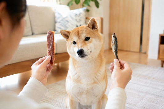 うちの子はグルメ？好みが出る理由とは🐶🍖