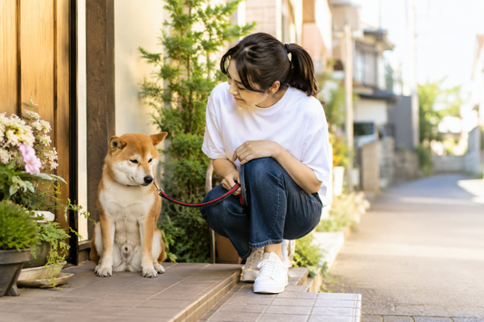 ワンコが散歩をしたがらない時どうする？無理に連れて行かなくても大丈夫？🐶