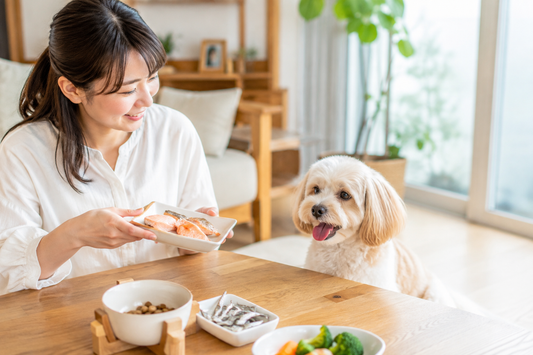 犬に魚を食べさせるメリットは？健康を支えるうれしい栄養をやさしく解説🐶🐟