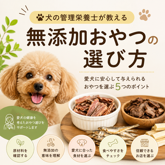 犬の管理栄養士が教える🐾 無添加おやつの選び方　