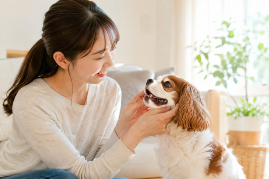 見逃したくない、お口から始まる健康トラブル🦷🐶