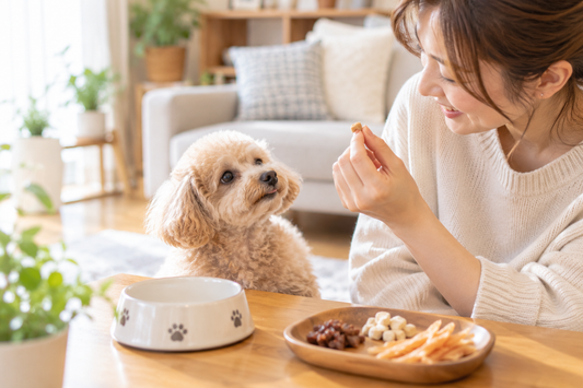 犬が膵炎になったら、おやつはもうあげられない？🐶