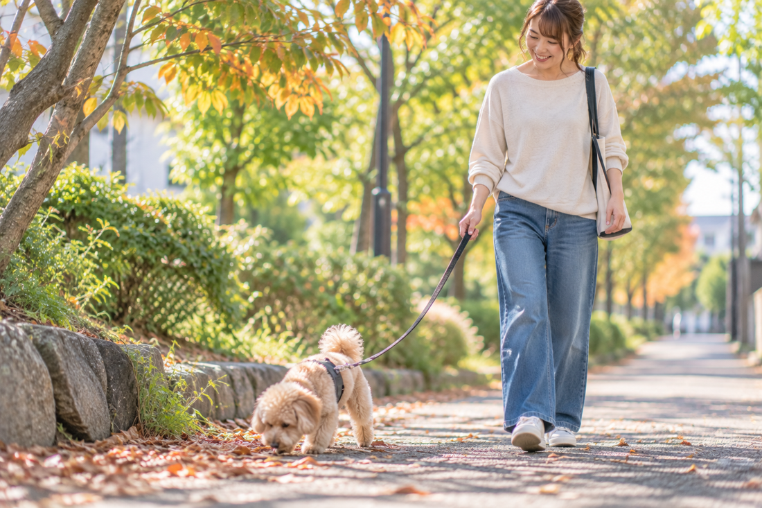 季節の変わり目ってワンコにも影響あるの？🐶🍂