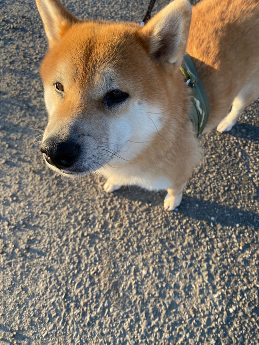 近況のお話を少しだけさせてください！2026/3/9