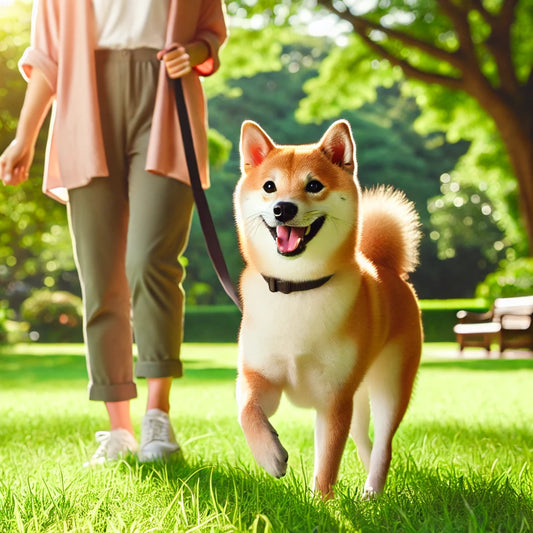 愛する柴犬が長生きするために知っておきたい病気リスク