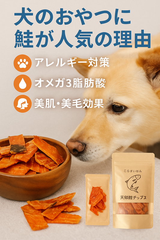 【犬のおやつに鮭が人気の理由】アレルギー対策や美肌効果にも注目！