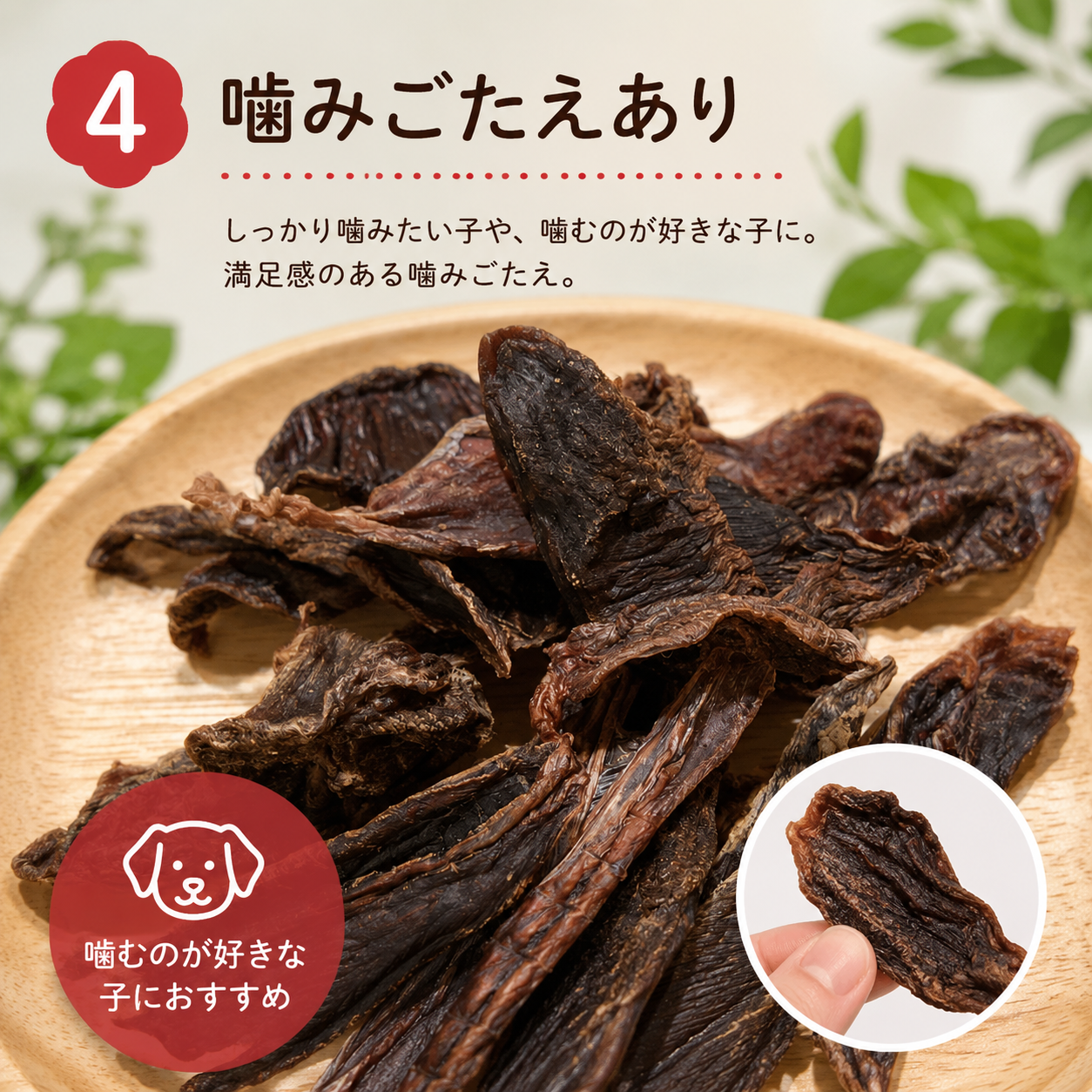 硬め🔴噛みごたえあり
